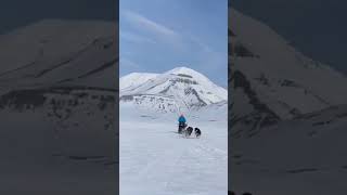 🏔️🐺 Dog sledging in SVALBARD  Trineo de perros SLEDDING ❄️ Arctic Desert  Desierto ártico ❄️ [upl. by Yrelle85]