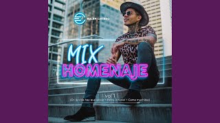 Mix Homenaje Vol 1 [upl. by Nerw]