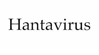 How to Pronounce Hantavirus [upl. by Tichon163]