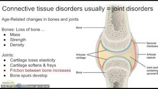 Connective tissue disorders 1 [upl. by Rramel684]