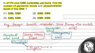 In \ \phi \times 174 \ virus 5386 nucleotides are found Find the number of glycosidic bonds a [upl. by Ahsenev]