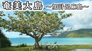 【南国自転車旅】せっかくの奄美大島なのに豪雨や夕食が見つからない…奄美大島へ手ぶらでサイクリング！有名な加計呂麻島で綺麗なビーチも★ [upl. by Annas]