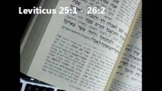 ONLINE BIBLE Yemenite Pronunciation Leviticus 251  262 פרשת בהר [upl. by Diva]