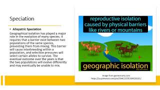 Chapter 176 Evolution  Species and Speciation [upl. by Brady165]