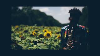 Best Masego Saxophone Song  Amazing Tropical Chill Vibes [upl. by Eynaffit]