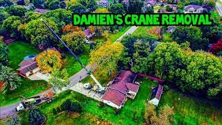 Damiens Hackberry Crane Removal [upl. by Nivak]