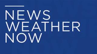 Bay News 9  News Weather Now Image Promo [upl. by Adirf]