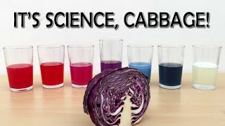 EXPERIMENT DIY PH indicator from red cabbage  What the Hack 22 [upl. by Tebzil]