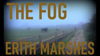 The Fog Erith Marshes Livinginthelandscape [upl. by Aivitnahs860]