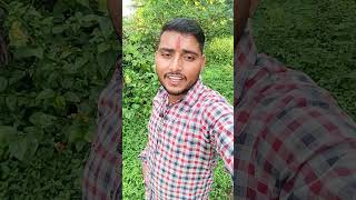 tumhari najron mein humne shortsfeed ytshorts shorts viralshort akashvermavlogs37 subscribe [upl. by Leslie293]