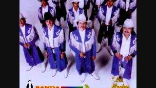 Banda Machos  Cumbia Torera [upl. by Hogan]