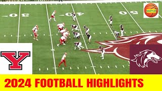 Youngstown State vs Southern Illinois Football Game Highlights  2024 College Football Week 11 [upl. by Arun]