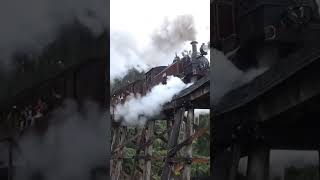 Puffing Billy Trestle Bridge Anzac Day [upl. by Grantham]