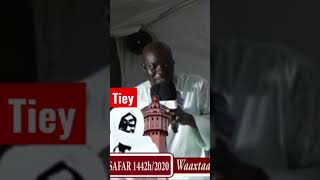 Thiedo yi Ak Cheikh Ibra Fall Tiey [upl. by Melas]