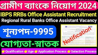 West Bengal Gramin Bank Recruitment 2024  IBPS RRBs Notification 2024  RRB Gramin Bank Vacancy [upl. by Dralliw]