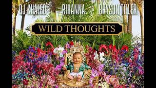 DJ Khaled ft Rihanna and Bryson Tiller  Wild Thoughts Official Instrumental [upl. by Ydnec]