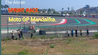 Sprint Race MotoGP Mandalika  2024motogpindonesia motogpmandalika [upl. by Neelrak]