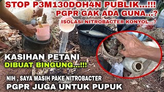 STOP PEMBODOH4N PUBLIK‼️KASIHAN PETANI SELALU DI BODOH ISOLASI NITROBACTER  PGPR DI BILANG KONYOL [upl. by Lennad]