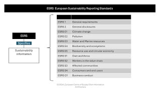 ESRS first slides [upl. by Ahsemit]