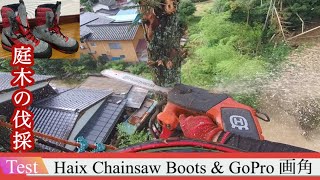 【庭木の伐採】民家裏 支障木 Haix チェーンソーブーツ chainsaw boots [upl. by Hynda]