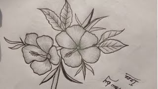 Pencil Sketch of flowers [upl. by Aniarrol]