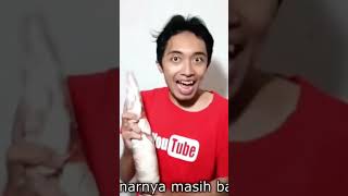 Meme lagu jenis jenis ikan [upl. by Alaunnoif]