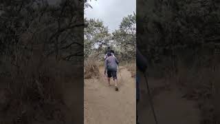 Longonot  hiking CMI ❤️kenya [upl. by Merci]