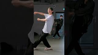 🤍🤍 junholee choreography [upl. by Adnirem]