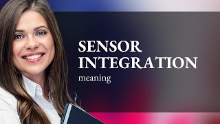 Understanding Sensor Integration A Guide [upl. by Oler]