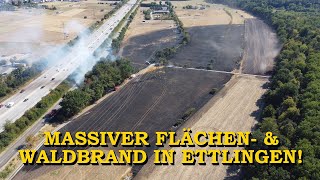 ERSTVIDEO  MASSIVER FLÄCHEN amp WALDBRAND   16 HEKTAR  FEUERWEHREN im GROSSEINSATZ  ETTLINGEN [upl. by Ainod691]