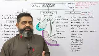 Gall Bladder UrduHindi medium profmasoodfuzail Anatomy amp Physiology of Gall Bladder  Bile [upl. by Annahpos]