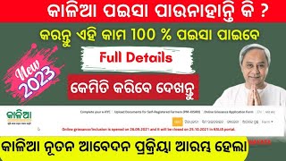 Kalia Yojana New Apply Online 2023 Full Process  Kalia Yojana Online Grievance Apply Online [upl. by Husein]