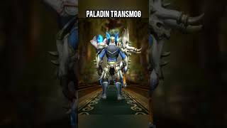 my paladin transmog wow worldofwarcraft warcraft [upl. by Arfihs]