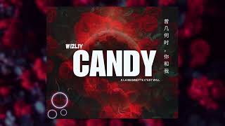 WI2L1Y CANDY OFFICIEL [upl. by Eudora430]