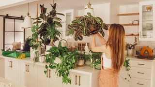 My Peaceful Houseplant Tour 30 Plants  Top 11 Container Gardening Tips [upl. by Ranita]