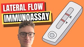 Lateral Flow Immunoassay LFIA EXPLAINED [upl. by Ani992]