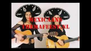 Mexicaans thema feest Mexicaansthemafeestnl [upl. by Ranique]