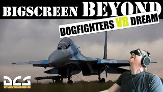 BEST VR HEADSET For DCS VR DCS bigscreenbeyond [upl. by Raveaux178]