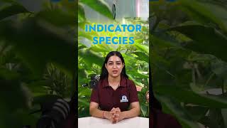 What Are Indicator Species Environmental Science Insights 🌿 Role of Indicator Species in Ecosystems [upl. by Ayra]