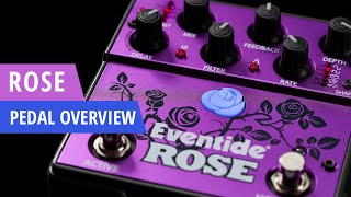 Eventide Rose Modulated Delay Guitar Pedal Overview [upl. by Eiram416]