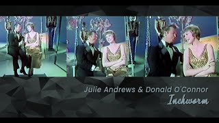 Inchworm 1973  Julie Andrews Donald OConnor [upl. by Pressey]