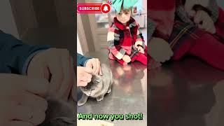 Off to the vet furry react furryreact vet cats kitten animals [upl. by Durkee508]