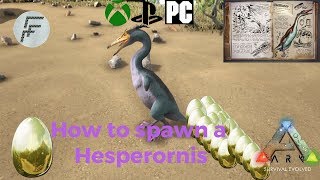 Ark Survival Evolved How to spawn a Hesperornis [upl. by Natanhoj]