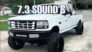 73 Powerstroke Sounds Flybys compilation [upl. by Yasdnyl]