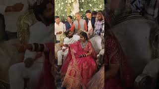 Samar Bhaiya Ka Reception  samarsinghh shortfeed short shorts trending viral youtubeshorts [upl. by Siladnerb]