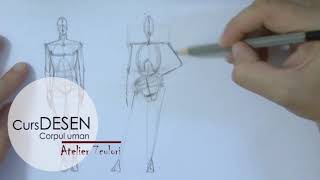 Curs DESEN – corpul uman Anatomie artistica [upl. by Asila]