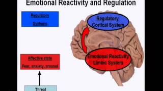 Introduction to the neuroscience of emotions [upl. by Fesuoy]