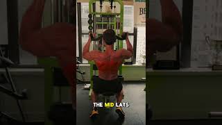 Secrets to the Ideal Grip for a Stronger Back [upl. by Schmitt]