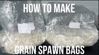 How to Inoculate a Grain Bag with Injection Port  Grow Mushrooms [upl. by Ayekim412]