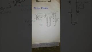 How to draw Nephron Diagram  easy way to draw Nephron [upl. by Lillywhite]